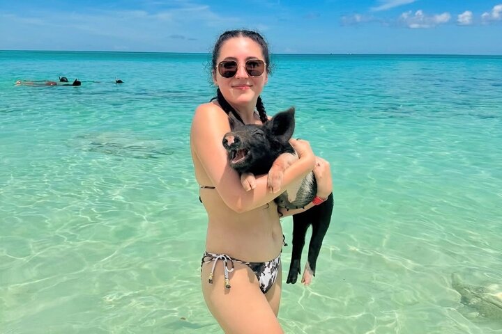 Rose Island pigs & beach club — Product image supplied through Viator.