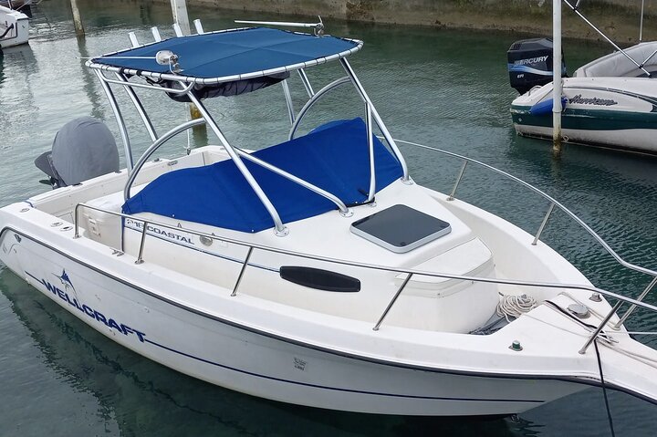 Private turtle, reef & beach boat — Product image supplied through Viator.