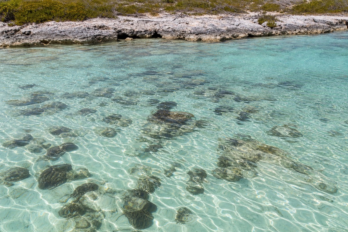 Shallow reef water off Athol Island