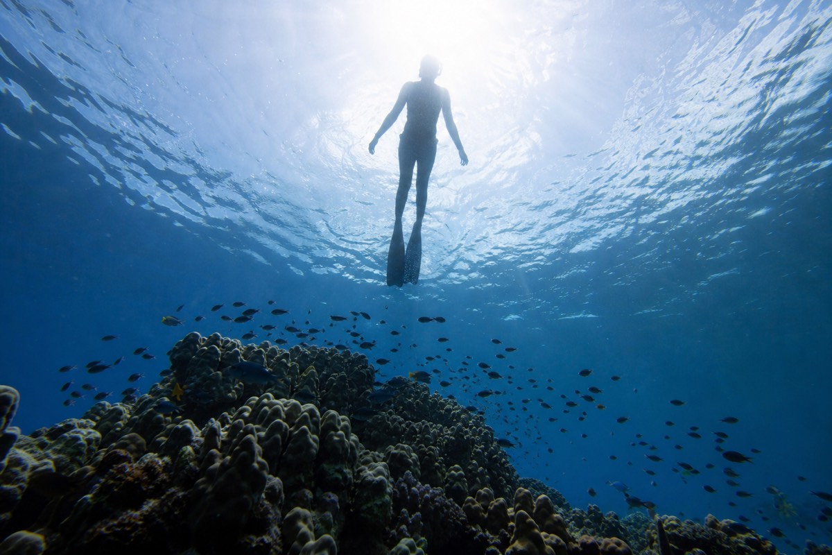 A snorkeler above shallow coral and reef fish in clear water near Nassau