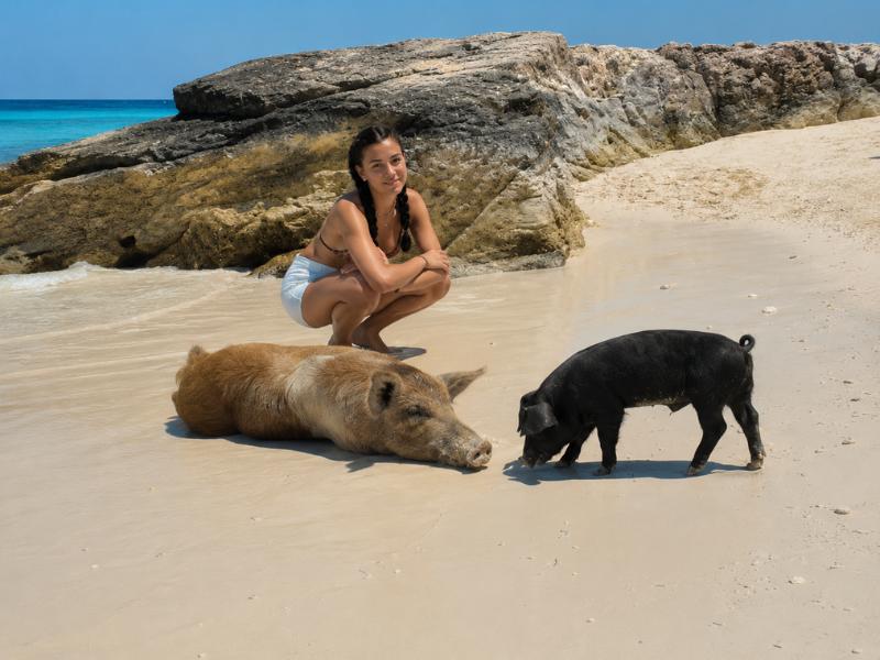 Nassau 3 Islands Tour with Snorkeling, Pig Beach, Turtles & Lunch